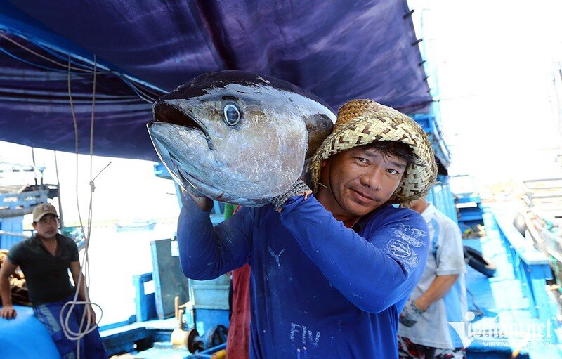 Mỹ chi tiền khủng, Việt Nam có thêm con cá "tỷ USD"