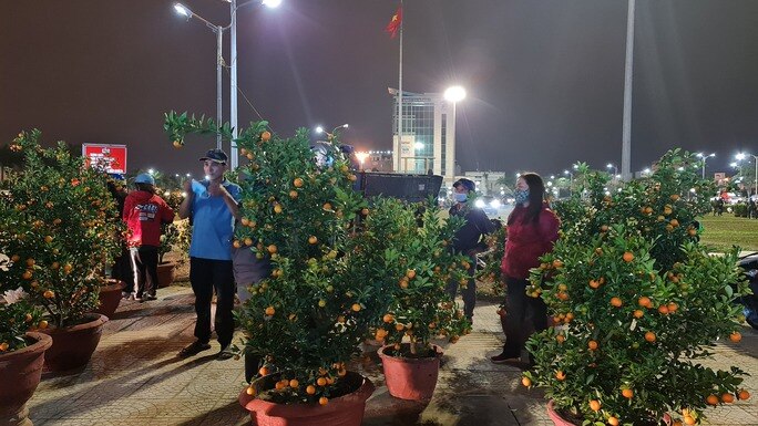 Đà Nẵng: Hoa sale "sập sàn" vẫn không ai mua