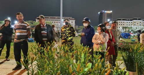 Đà Nẵng: Hoa sale "sập sàn" vẫn không ai mua
