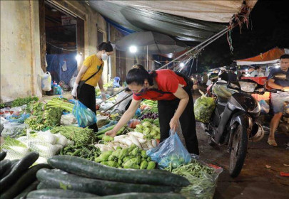Hà Nội: Hàng hóa dồi dào, giá rau xanh 'hạ nhiệt'