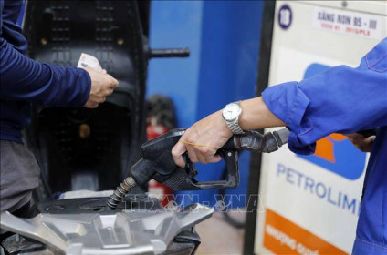 Thu hồi giấy phép của 6 thương nhân phân phối xăng dầu