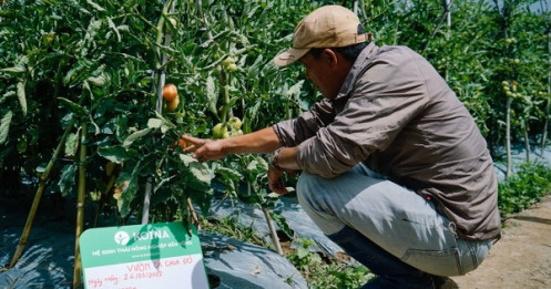Quỹ Công nghệ của VinaCapital rót 1 triệu USD vào startup nông nghiệp Việt