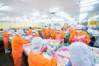 ANV: Công ty con muốn vay gần 36 tỷ đồng từ TGĐ