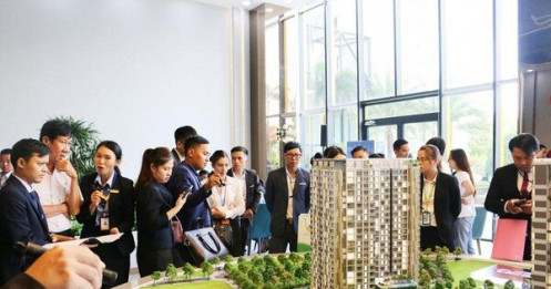 Hơn 3.000 người nghỉ việc tại Tập đoàn Đất Xanh