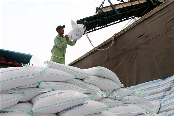 Thị trường nông sản: Giá gạo ở Đồng bằng sông Cửu Long tăng