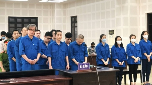 Hàng loạt giám đốc hầu tòa vì giúp chuyên gia dỏm vào Việt Nam