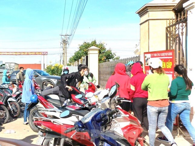 Công nhân xếp hàng xin việc, lương từ 6-12 triệu đồng/tháng