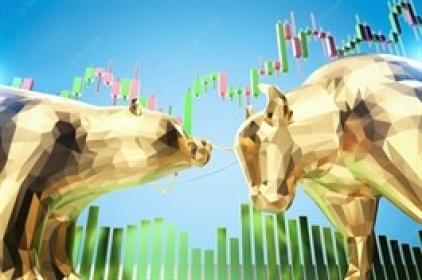 Góc nhìn tuần 20 - 24/02: VN-Index trong nhịp hồi ngắn hạn?