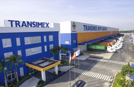 Transimex phát hành gần 16 triệu cổ phiếu để tăng vốn?