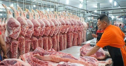 Giải mã giá thịt lợn thấp