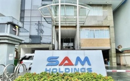 SAM bán sạch hơn 3.7 triệu cp DNP