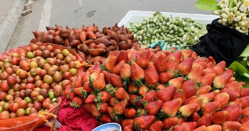 Hà Nội: Hoa quả đặc sản tưởng rẻ hóa đắt, loại đắt giá lại rẻ không tưởng