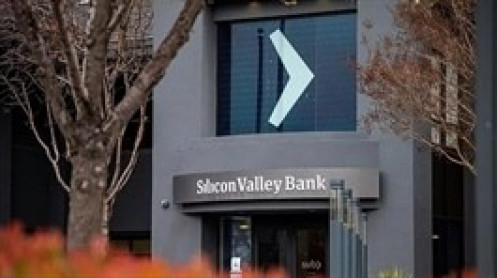 Silicon Valley Bank không có giám đốc quản trị rủi ro trong 8 tháng