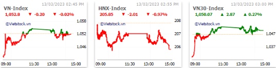 Nhịp đập Thị trường 13/03: Large Cap giữ thế cân bằng cho VN-Index