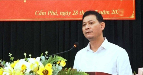 Một chủ tịch phường bị bắt vì 'bảo kê' nuôi trồng thủy sản trên vịnh Bái Tử Long
