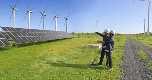 Cánh đồng điện gió đầu tư hàng trăm tỷ đồng... 'nằm bất động’