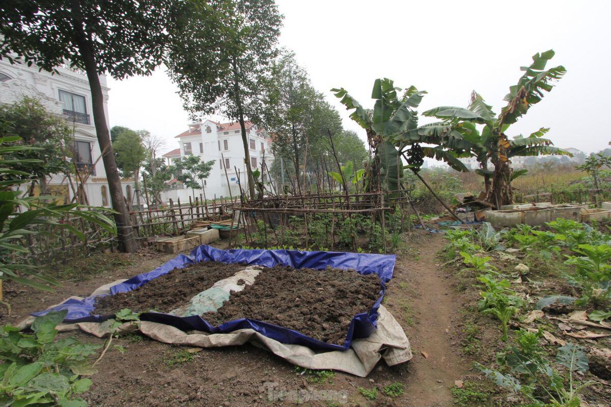 Cảnh hoang tàn khu đô thị 'quên' xây hạ tầng gần 20 năm