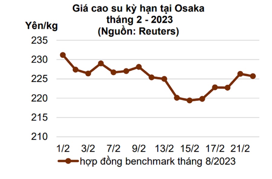 Trung Quốc mở cửa trở lại, vì sao giá cao su xuất khẩu vẫn liên tục giảm?