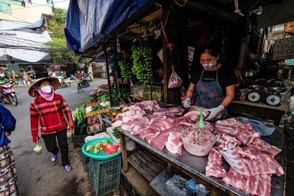 Giá thịt lợn hơi thấp, người chăn nuôi "ngậm đắng nuốt cay"