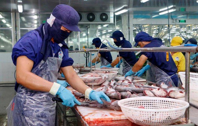 Xuất khẩu cá tra kỳ vọng khởi sắc từ các thị trường lớn