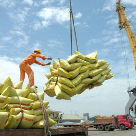 Indonesia muốn nhập khẩu 2 triệu tấn gạo, Bộ Công Thương khuyến cáo gì?