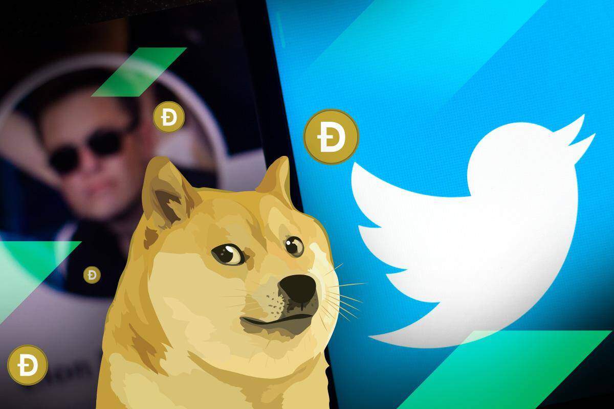 Twitter đổi logo thành Dogecoin, giá DOGE “dựng cột”