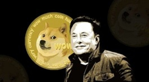 Thị trường tiền ảo tuần qua: Dogecoin biến động mạnh sau động thái của Elon Musk