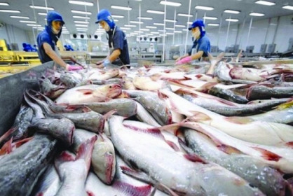 Xuất khẩu cá tra sang Ả Rập Xê út tăng hơn 13%