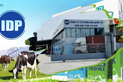 Quỹ đầu tư ngoại sắp rót 2.300 tỉ đồng vào chủ thương hiệu sữa Ba Vì (IDP)
