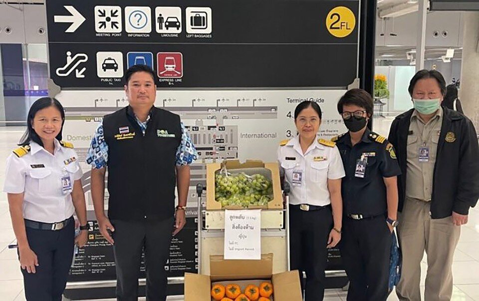 Du khách mang trái cây tươi vào Thái Lan có nguy cơ bị phạt tù