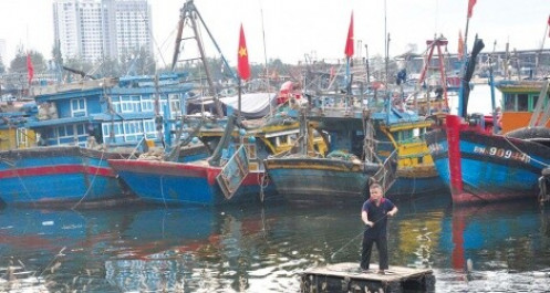 Doanh nghiệp thủy sản Đà Nẵng đối mặt khó khăn kép