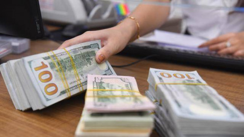 Nợ nước ngoài của doanh nghiệp Việt Nam chiếm 70% tổng nợ quốc gia