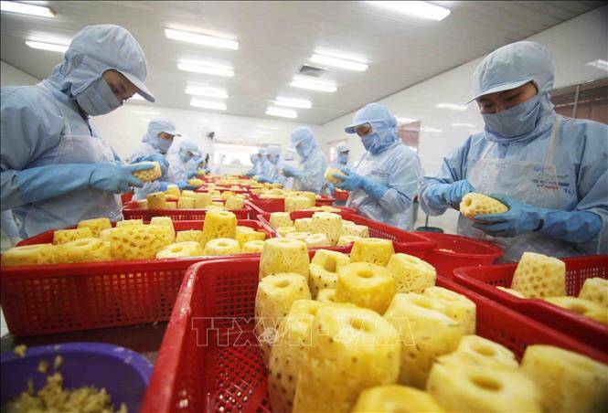 Xuất khẩu rau quả có nhiều triển vọng trong quý II