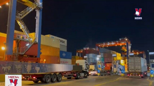 Vụ 5 container điều xuất khẩu sang Algeria: Doanh nghiệp có nguy cơ mất trắng