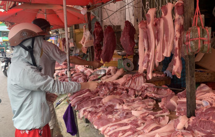 Giá lợn hơi tăng lên 55.000 đồng/kg ở các tỉnh phía Nam
