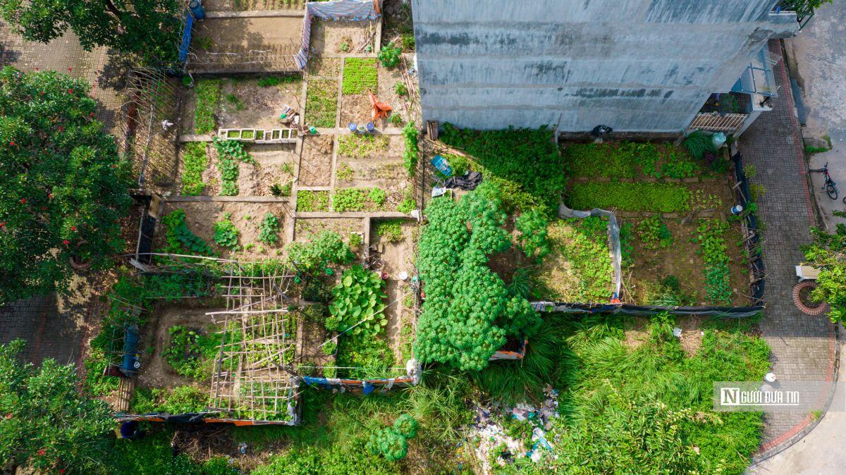 Toàn cảnh dự án nghìn tỷ trở thành nơi trồng rau ở Hà Nội