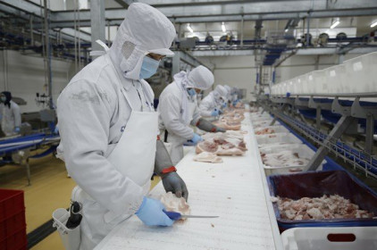 Dự báo doanh nghiệp sản xuất thịt sẽ kinh doanh tích cực hơn từ năm nay