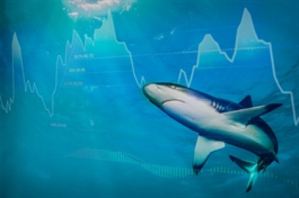 Theo dấu dòng tiền cá mập 25/04: Tự doanh và khối ngoại đồng thuận bán ròng