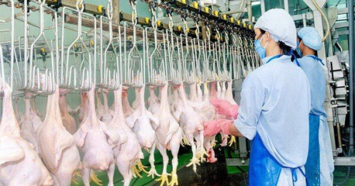 Thịt, trứng trong nước dư thừa, Việt Nam vẫn ồ ạt nhập thực phẩm ngoại