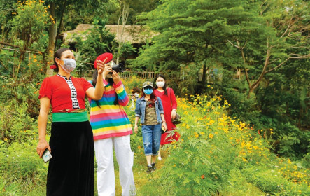 Phát triển liên kết du lịch cộng đồng bền vững tại các tỉnh Đồng Tháp, Long An, Tiền Giang
