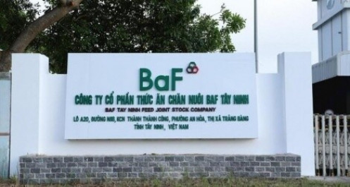 BaF Việt Nam ghi nhận lỗ hoạt động cốt lõi 3,49 tỷ đồng
