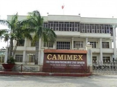 Camimex Group báo lãi quý 1 đi lùi 8%