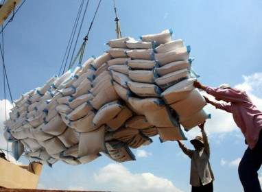 Xuất khẩu gạo tăng mạnh trong 4 tháng đầu năm 2023