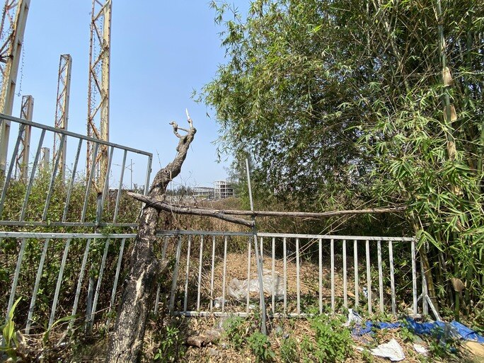 Cận cảnh hoang tàn tại siêu dự án Cocobay Đà Nẵng