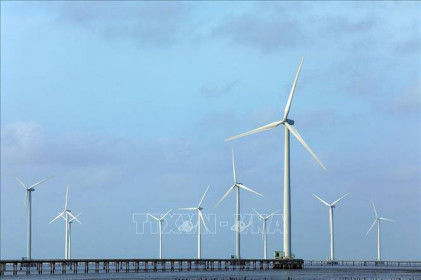 23 nhà đầu tư điện gió, điện mặt trời kiến nghị 'gỡ vướng' đàm phán giá điện
