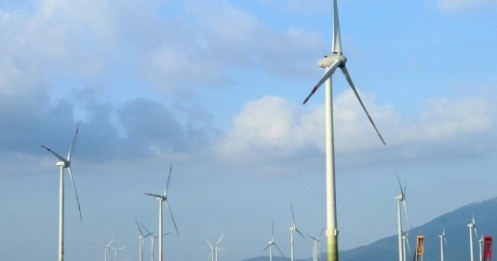 Chủ Nhà máy điện gió Phong Liệu báo lãi năm 2022 đạt 124 tỷ đồng