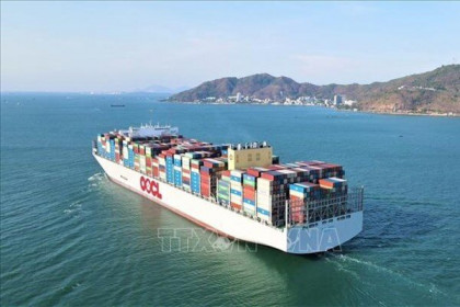 Hàng container qua cảng biển tăng gần gấp đôi sau 7 năm