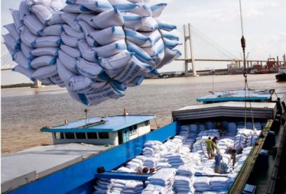 Xuất khẩu gạo lên ngôi, doanh nghiệp ngành gạo làm ăn ra sao?