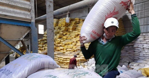 Việt Nam sẽ giảm xuất khẩu gạo vào năm 2030