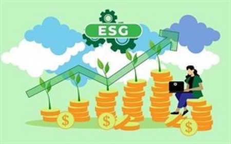 Quỹ đầu tư cổ phiếu United ESG Việt Nam nới rộng lãi sau tháng 5